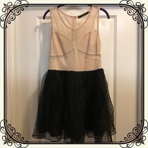 Ark & Co. Mesh Tulle Mini Dress